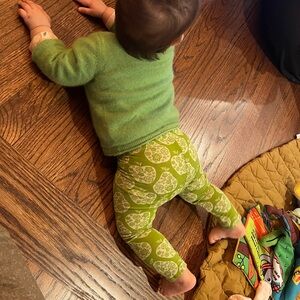 Kate Quinn Green Pear & Apple 🍏 🍐 Print Leggings